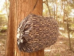img20110922143156.jpg