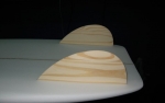 fins3_jpg_4b618d397d.jpg